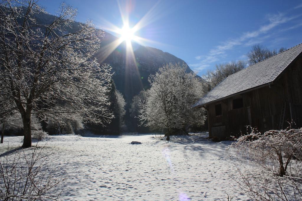 La Clairiere Du Moulin Bed & Breakfast Lepin-le-Lac Dış mekan fotoğraf