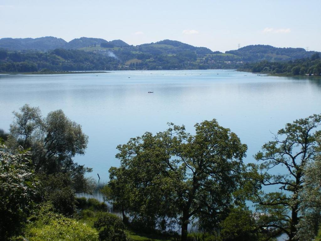 La Clairiere Du Moulin Bed & Breakfast Lepin-le-Lac Dış mekan fotoğraf